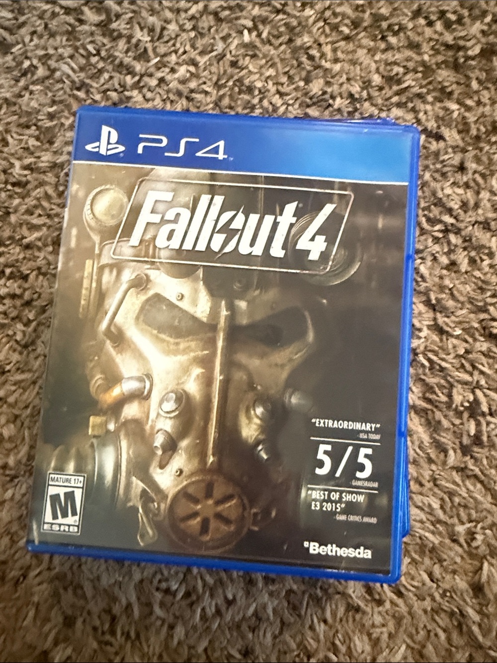 Fallout 4 PS4 Video Game - Blue Case